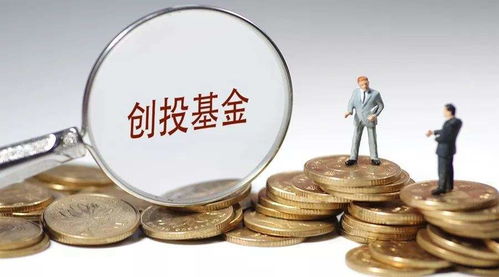 資本新布局 達晨創投入股河南文投旗下懷樸投資，加速文化產業投資版圖擴張